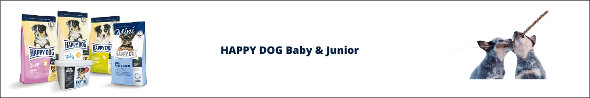 Happy dog baby junior