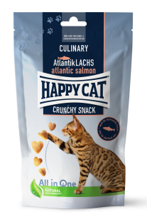 Hc culinary snacks atlanticklachs 31052022 ms