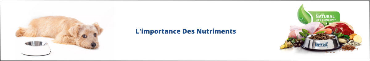 L importance des nutriments