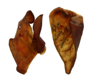 Oreille de porc 1